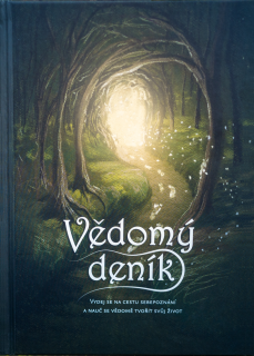 Vědomý deník - Petr Vozák